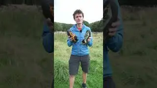 Scarpa Generator vs La Sportiva TC Pro