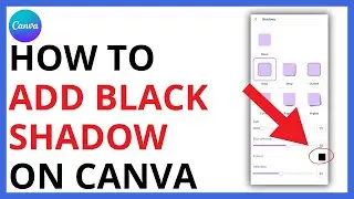 How to Add Black Shadow on Canva [QUICK GUIDE]