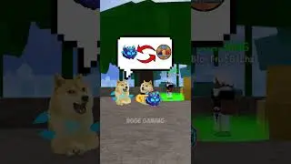 0 robux chơi Bloxfruits kiểu😭| Doge Gaming