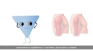 Белок