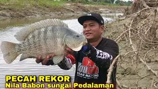 PECAH REKOR Mancing ikan di sungai liar Pedalaman China  dapat Nila  Super Babon Sak Bantal