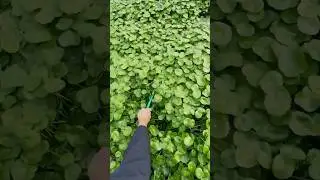 Самое необычное место для рыбалки 🐟🎣