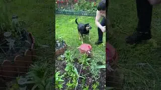 Свежий воздух,солнце и… Люся😍