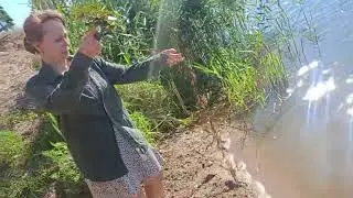 Юлианна Колдовко про Чертов орех