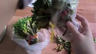 неукор ехал до меня 2 недели 🤦что делаю с неукоренными черенками из посылки