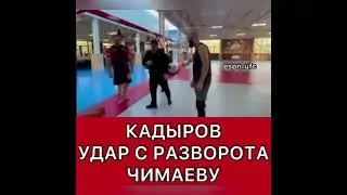 Рамзан Кадыров и Хамзат Чимаев      