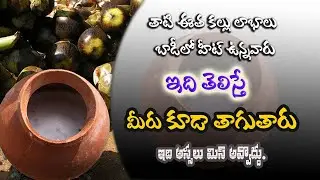 తాటి కల్లు తాగితే ఎంత మంచిదో ఆరోగ్య ప్రయోజనాలు  Palm Juice Toddy Palm Wine