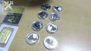 Серебряные монеты и золотые слитки сокрыл от таможенного контроля гражданин Нидерландов