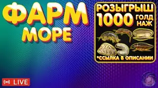 1000 голд наживки розыгрыш 🔥 ПРЕМЫ и ЗОЛОТО 🔥 Рулетка 🔥 Фарм на Море 🔥 Русская Рыбалка 4 стрим 