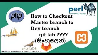 How to create Branch and Checkout