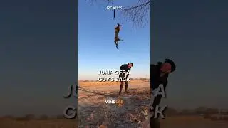 Joe Rogan On CRAZY Belgian Malinois Dogs🤯