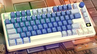 Budget keyboards are getting REALLY good. (Royal Kludge M75)