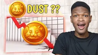 WHAT HAPPENED ?? - The HAMSTER KOMBAT Documentary