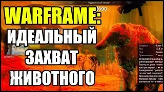 Warframe: Как совершить идеальный захват животного на Долине Сфер?