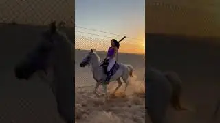 hot girl ride horse 😍 beautiful girl amazing skills on horse back riding ☺️ girl hard training🤣tosee