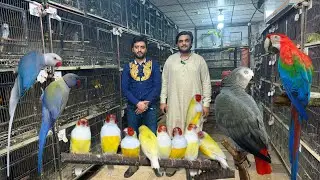 Multan Sunday Birds Rasheedabad latest Update 25 August 2024
