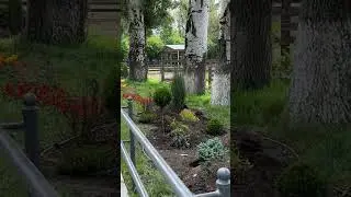 ВЛОГ на Бусти и Патреон