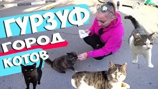 Крым Гурзуф 2020. КОТЯЧИЙ СХОДНЯК. Кот авторитет. Котэ Терапия Гурзуф город Котов. Кошачий рай
