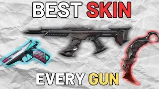 These Are The BEST Skin for EVERY Gun in VALORANT!