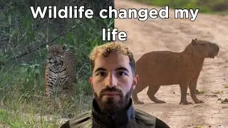 Wildlife Travel Changed Me