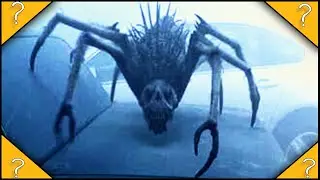 Why do the CREATURES from THE MIST only stay in the mist