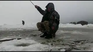 Ловля корюшки на махалки и блёсны - мыс Лазарева 13.04.2019 год