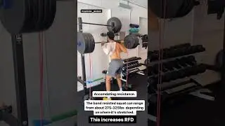 Boost Your Athletic Performance: The Impact of Banded Squats on My Training #basketball #vertimax