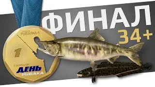 РУССКАЯ РЫБАЛКА 4 - День Рыбака 2024 / Квесты 34+ уровни, ФИНАЛ / Кета и Налим на р.Яма / Стрим 8