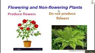 Flowering and Non-flowering Plants, General Science Lecture | Sabaq.pk