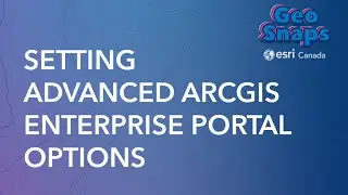 Setting Advanced ArcGIS Enterprise Portal Options