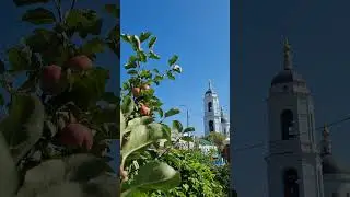 Колокольный звон в храме прп.Сергия Радонежского в Рогожской слободе, Москва