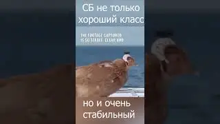 Посвящается всем фанатам СБ Lineage 2 essence