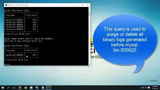 How to Purge Binary Logs in MySQL