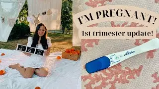 I'M PREGNANT! 1st trimester update + bump update!