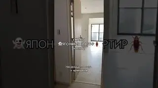 УЖАСЫ ЯПОНСКИХ КВАРТИР 👻 часть 2 