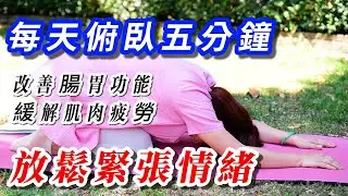 (621)【一個動作改善睡眠】每天俯臥五分鐘改善腸胃功能、緩解肌肉疲勞、放鬆緊張情緒睡眠更好！Joanna澳洲生活