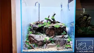 Planting The ADA 45C Aquarium