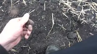 ОФИГЕТЬ МОНЕТ! ТУТ ОНИ НЕ КОНЧАЮТСЯ!