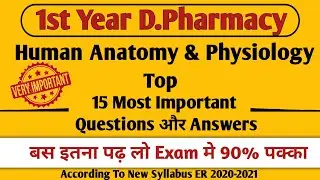 D.Pharmacy 1st Year ke Liye Human Anatomy & Physiology ke Top 15 Long Questions aur Answers