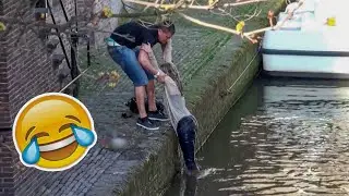 Best Fails of The Week: Funniest Fails Compilation: Funny Video | FailArmy part - 44