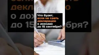 Что будет, если не сдать декларацию о доходах до 15 сентября? #2024 #новости #казахстан #декларация
