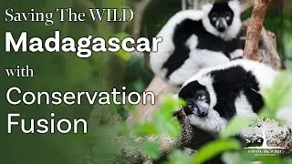 Saving the WILD with Conservation Fusion