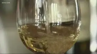 Taste test: Does more expensive wine mean better quality?