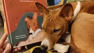 Обзор книги детских стихов о собаке басенджи 
