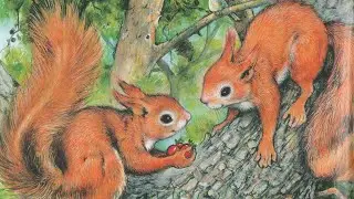Аудиосказка. Приключения бельчонка. И.Гурина. Читает Оксана Семерикова. #ксюхондрик #сказки