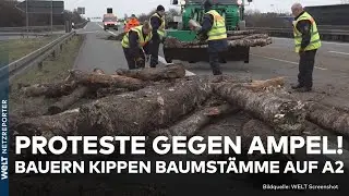 DEUTSCHLAND: Eskalation bei Protesten gegen Ampel? Bauern kippen Baumstämme auf Autobahn