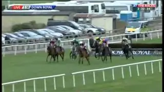 JNwine.com Champion Chase 2014