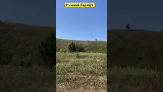Нижний Карабут. Природа Воронежской области.