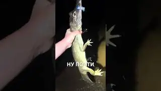Люди до того, как придумали страх: 