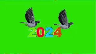 happy new year green screen video 2024 / Happy New Year fly Bird on green screen effects background